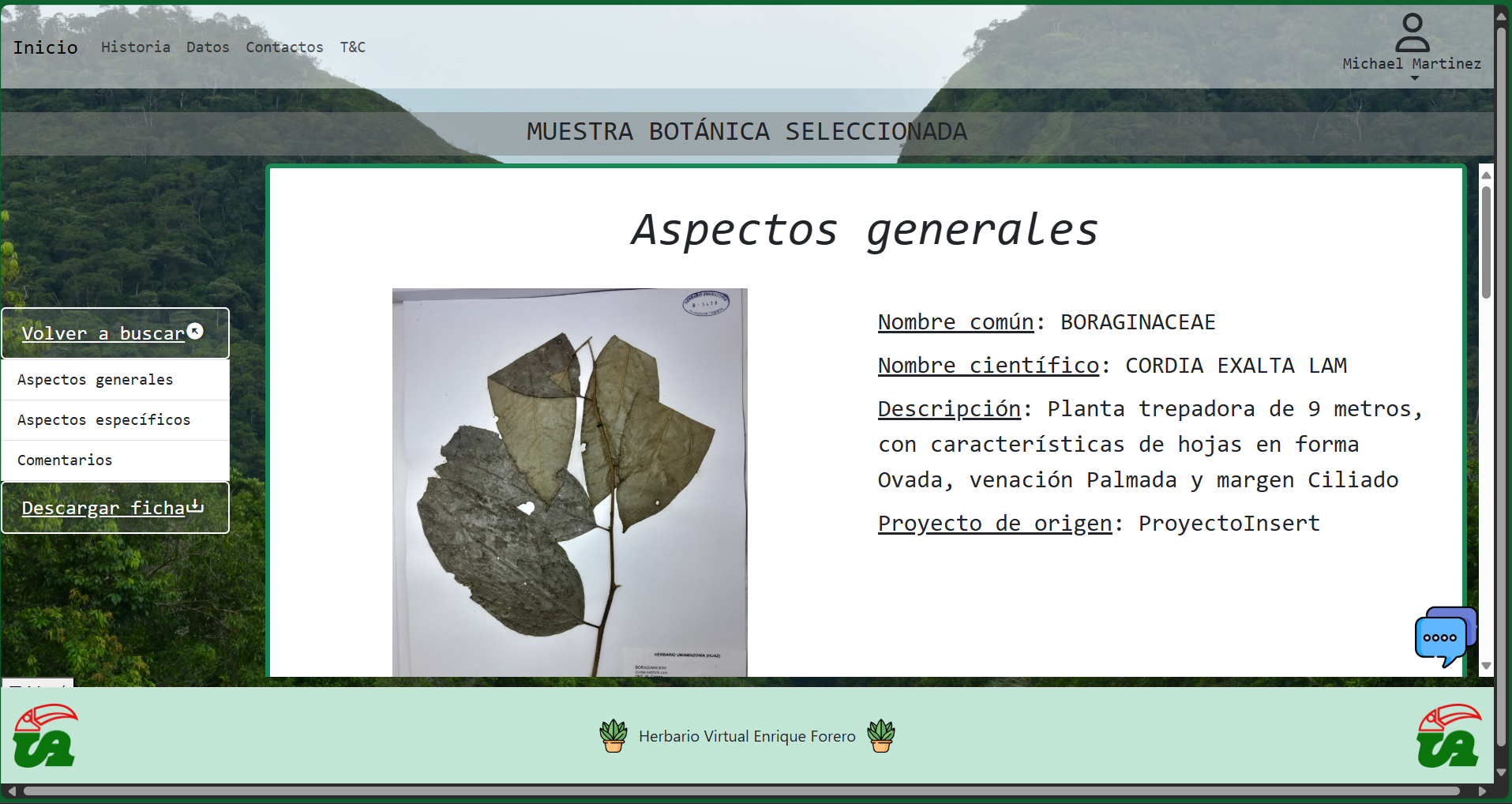 Detalle de una muestra botánica individual